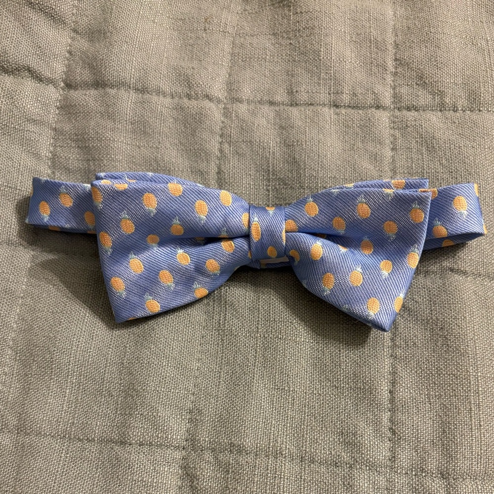 Men’s Blue Bow Tie with Yellow Pineapple Print | Velcro Closure